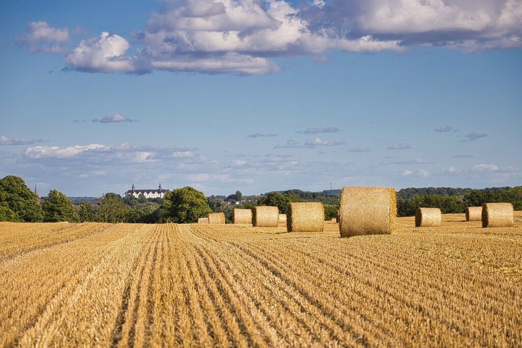 Combine harvesters work a large soybean field near grain silos and farm logistics.